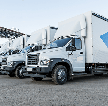 White trucks lined up